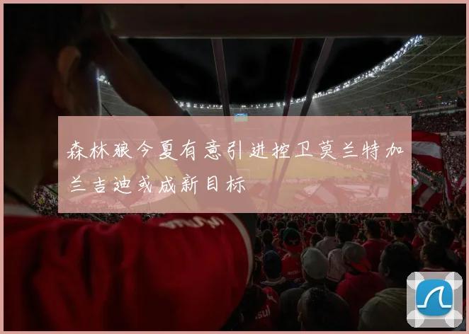 森林狼今夏有意引进控卫莫兰特加兰吉迪或成新目标